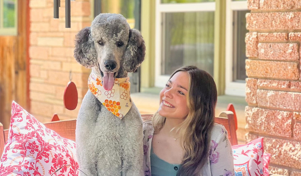 A standard poodle wearing a bandana sits next to a smiling woman.