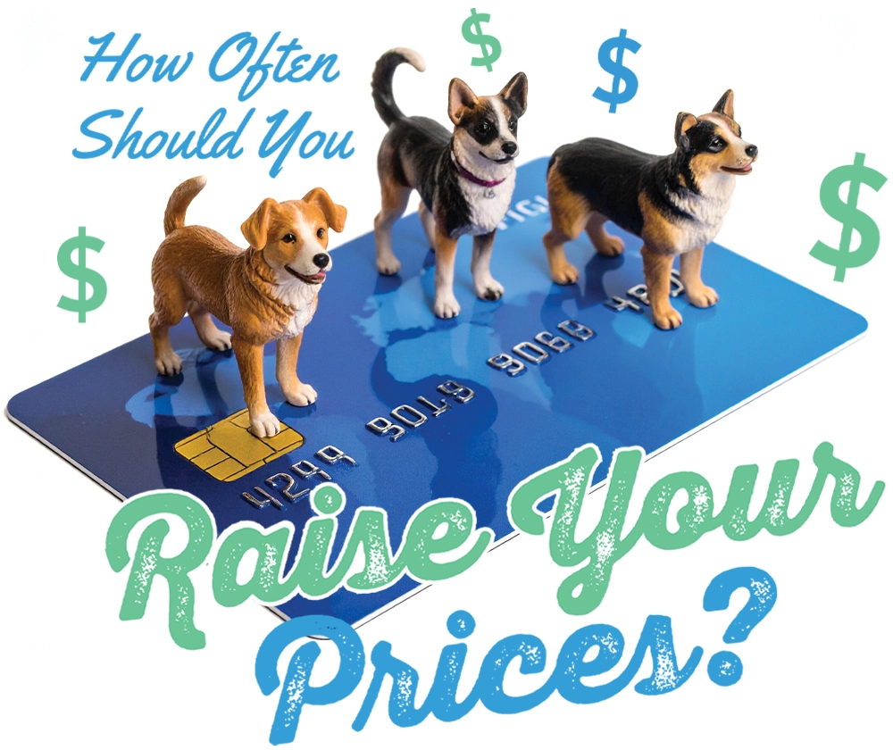 How Often Should You Raise Your Prices? article image and typography