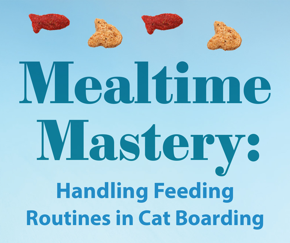 Mealtime Mastery: Handling Feeding Routines in Cat Boarding article imagery and typography