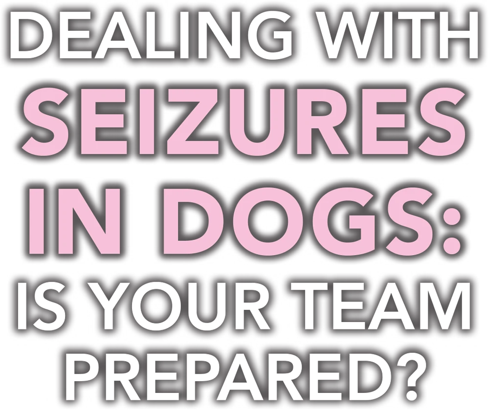 Dealing With Seizures in Dogs: Is Your Team Prepared? typography