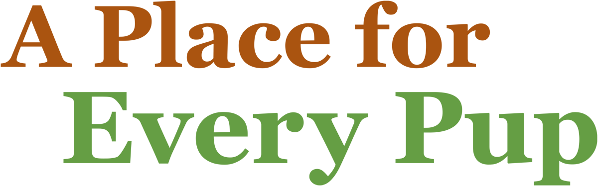 A Place for Every Pup typography