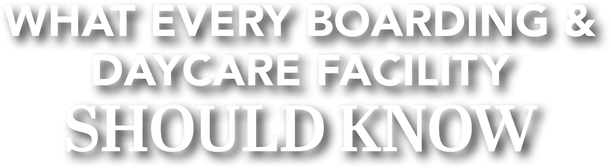 What Every Boarding & Daycare Facility Should Know