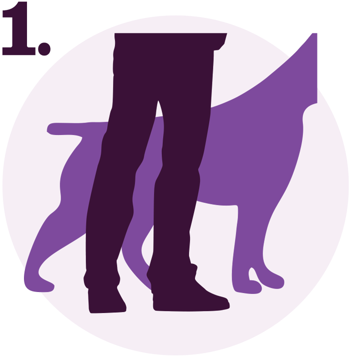A dark purple silhouette of a person's legs standing next to a lighter purple silhouette of a dog in a purple circle. The person's legs are in the foreground, and the dog is in the background, with its head and tail visible. The number '1.' is in the top left corner of the circle.