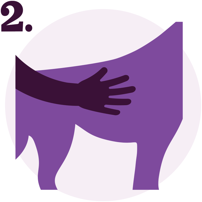 A dark purple hand with fingers spread is petting the back of a light purple dog, all within a purple circle. The hand is a dark purple silhouette, and the dog is a light purple silhouette. The number '2.' is in the top left corner.