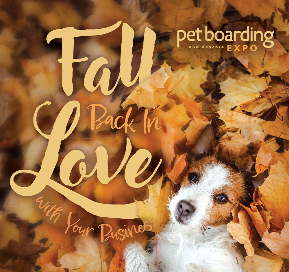 Pet Boarding and Daycare Expo: Fall Back In Love with Your Business article image and typography