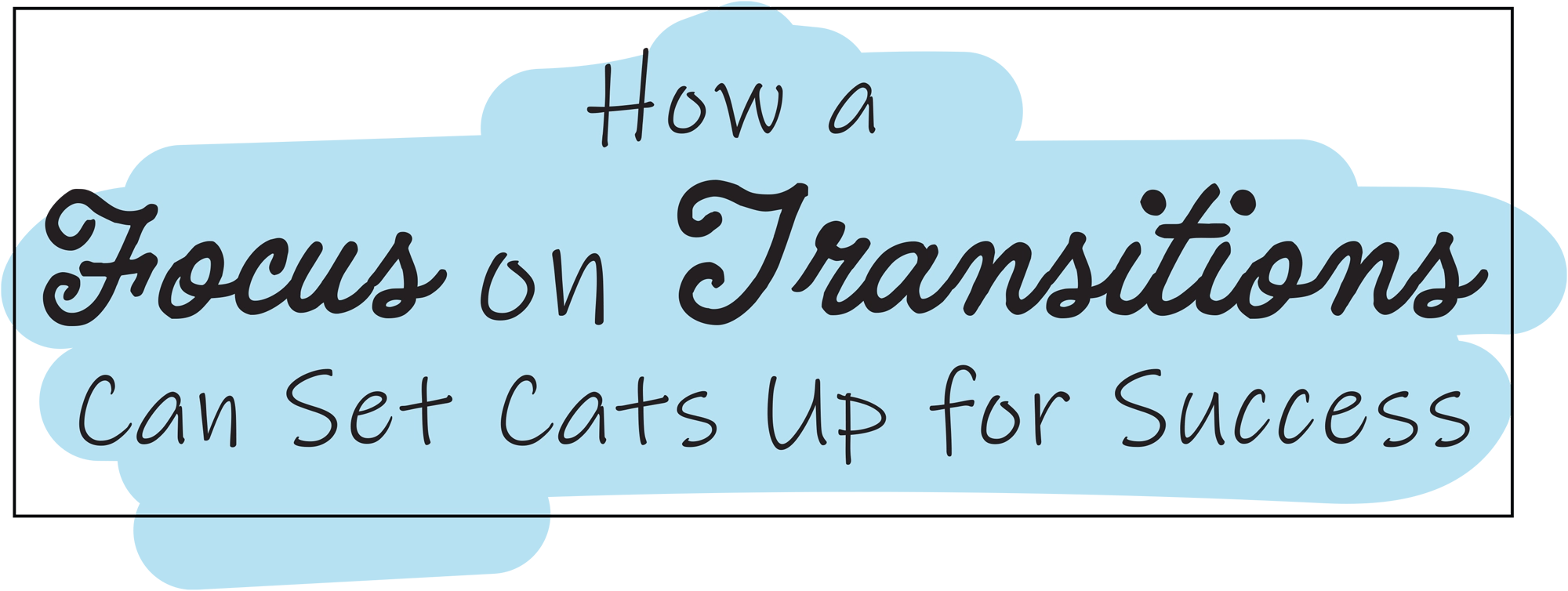 How a Focus on Transitions Can Set Cats Up for Success typography in a cartoon panel styled box