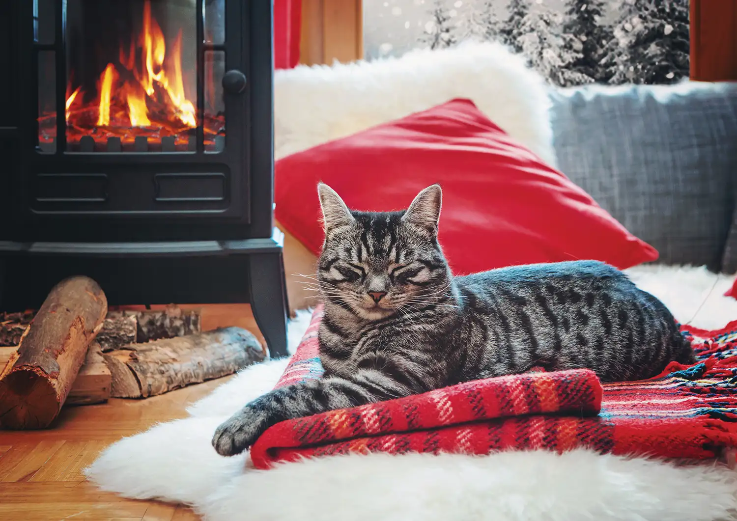 Creating Cozy Winter Boarding Experiences