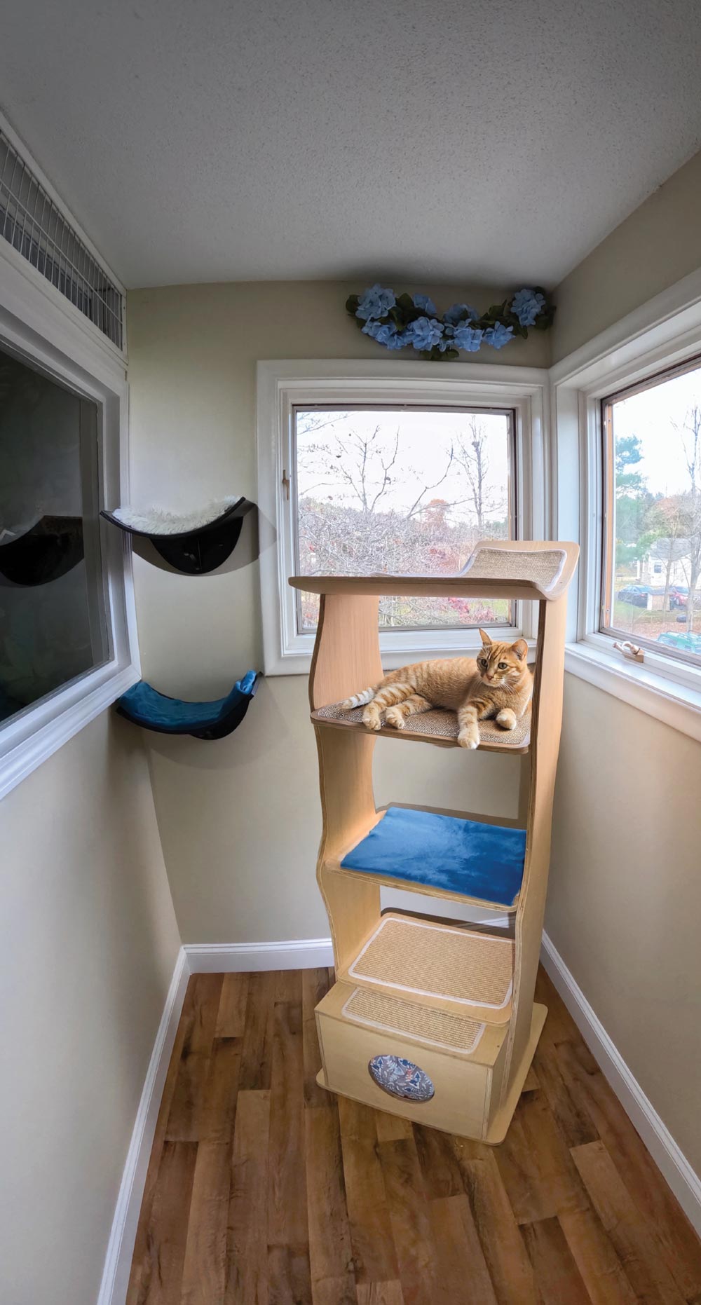 An orange tabby cat lies on the middle tier of a tall, light-wood modern cat tree positioned in a bright room between two large windows.