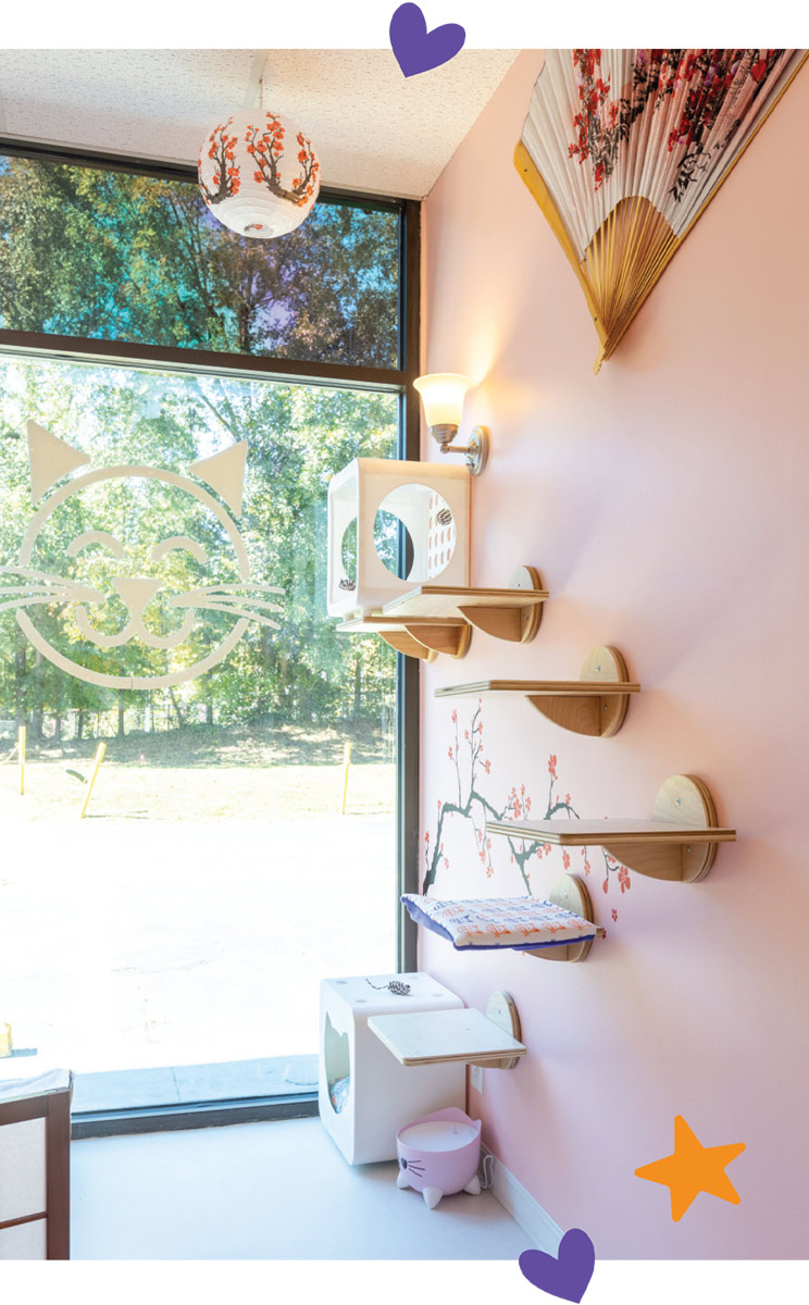 A pink suite with a cherry blossom theme and a large window. Vertical wooden perches allow for bird-watching and calm visual engagement with the outdoors.