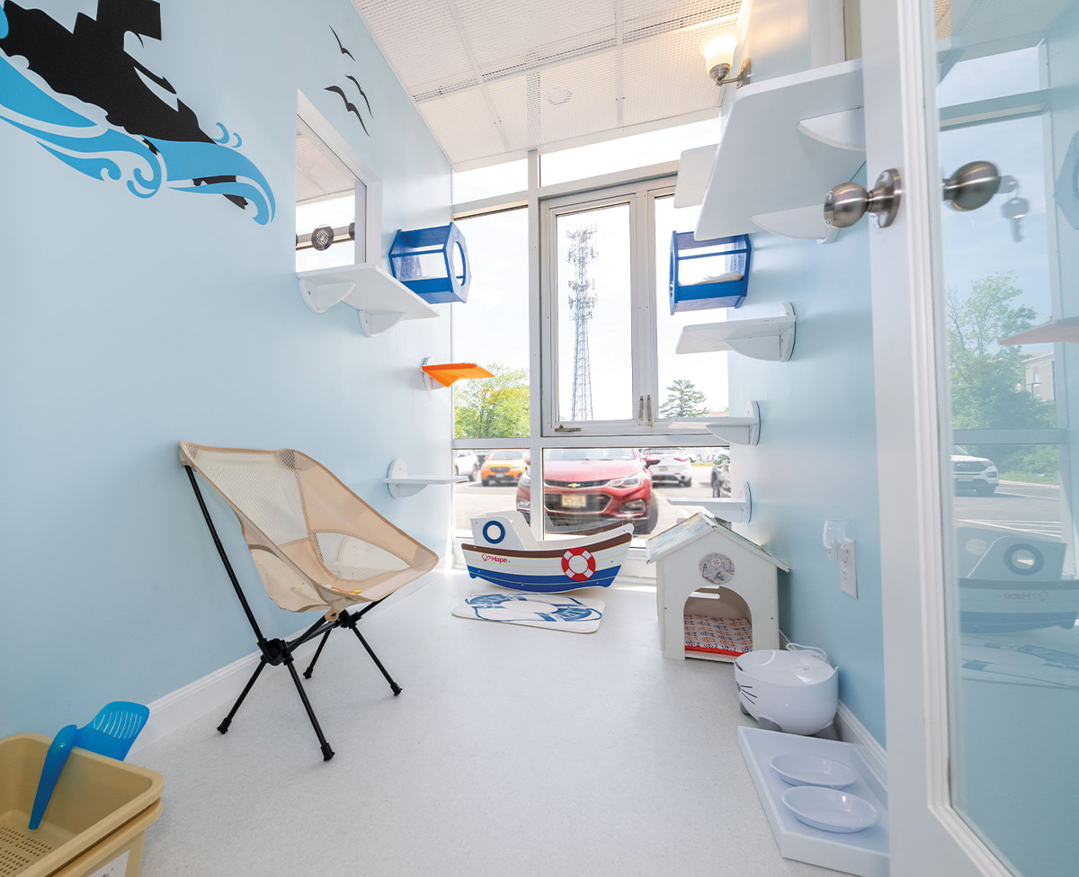 A light blue cat suite featuring a large floor-to-ceiling window looking outdoors. The room contains white wall-mounted climbing shelves, a blue and white boat-shaped rocker, a small white house bed, a beige folding chair, and a submarine wall decal.