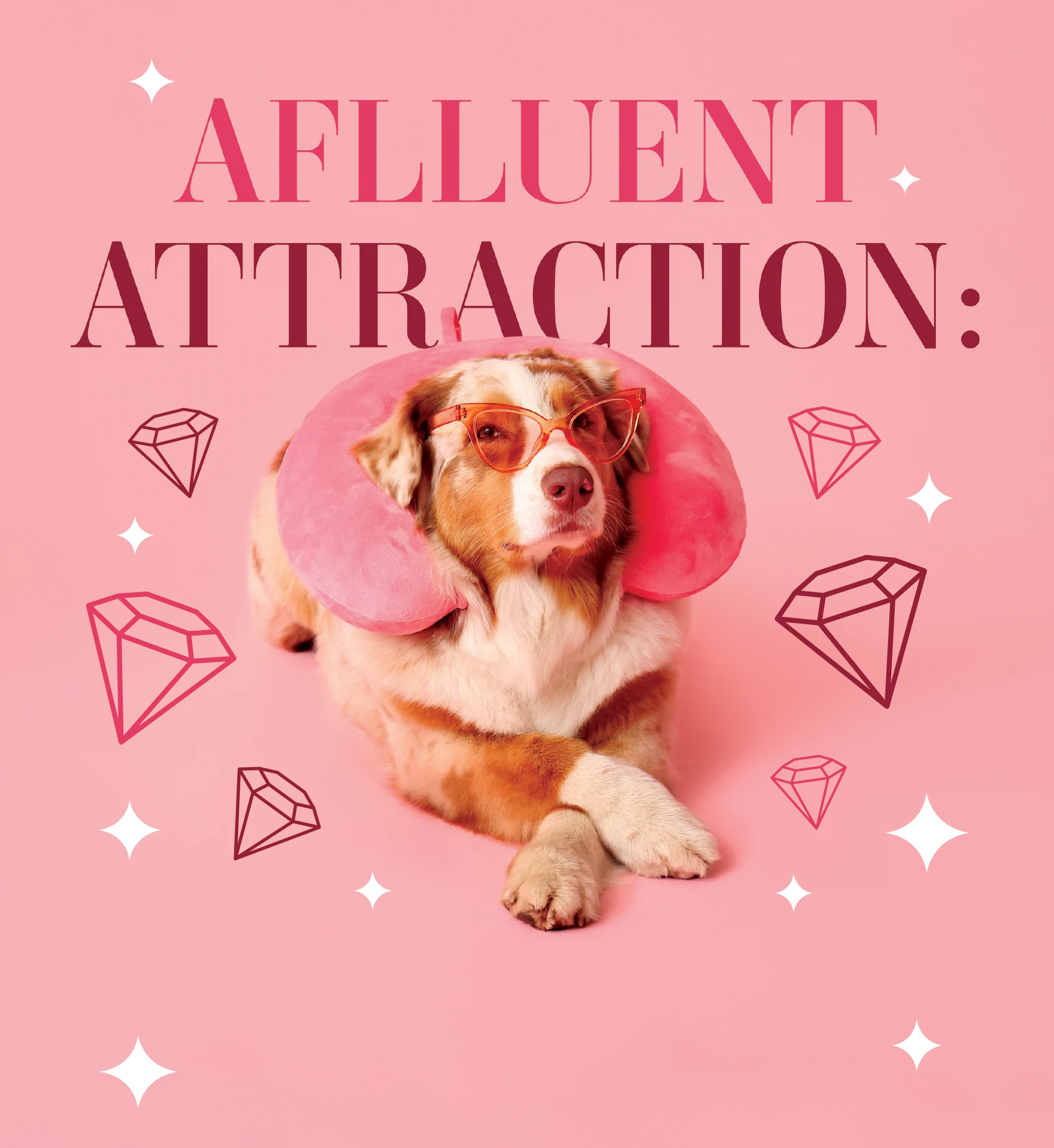 An Australian Shepherd wearing orange glasses and a pink neck pillow on a pink background with diamond icons.