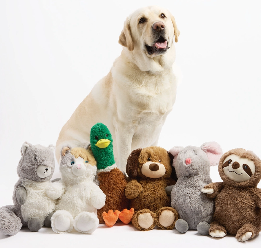 a Golden Retriever sits in front of a row of six pet Warmies including a raccoon, a cat, a duck, a dog, a mouse and a sloth