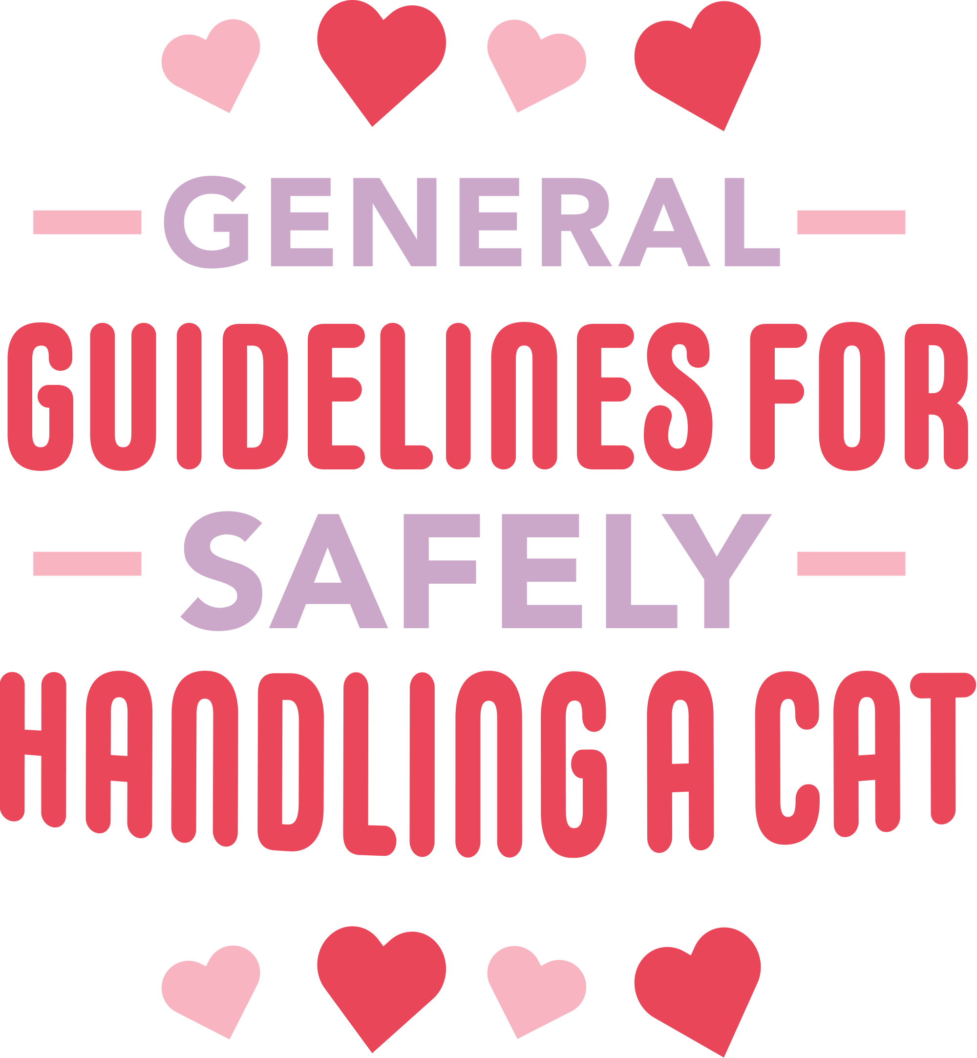 General guidelines for safely handling a cat