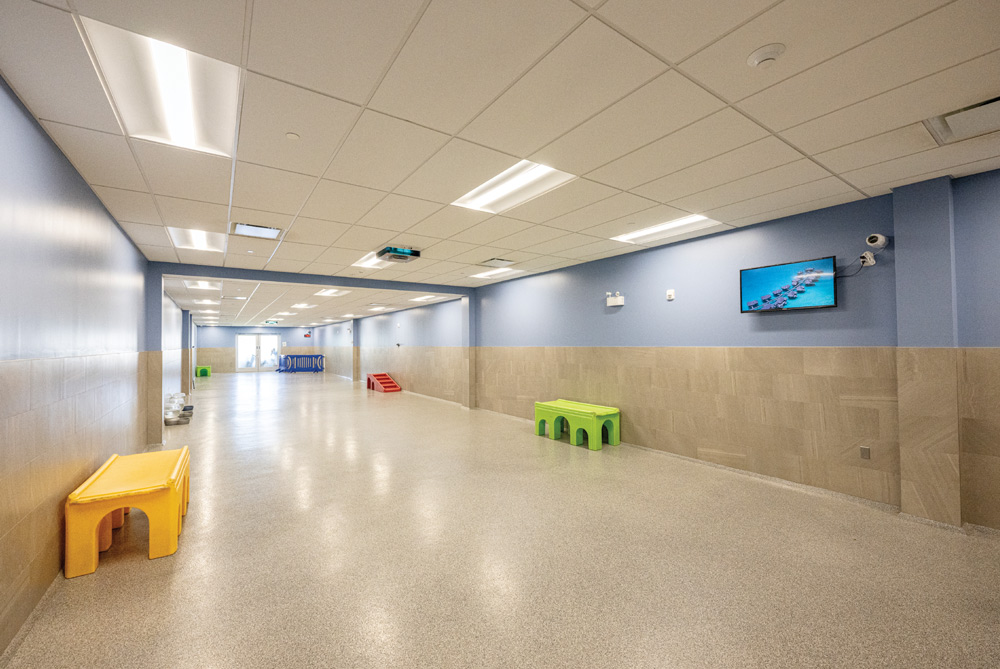 Large empty corridor with blue walls, fluorescent lighting, and play furniture.