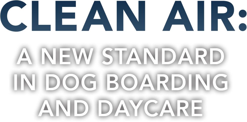 Clean Air: A New Standard in Dog Boarding and Daycare cover typography