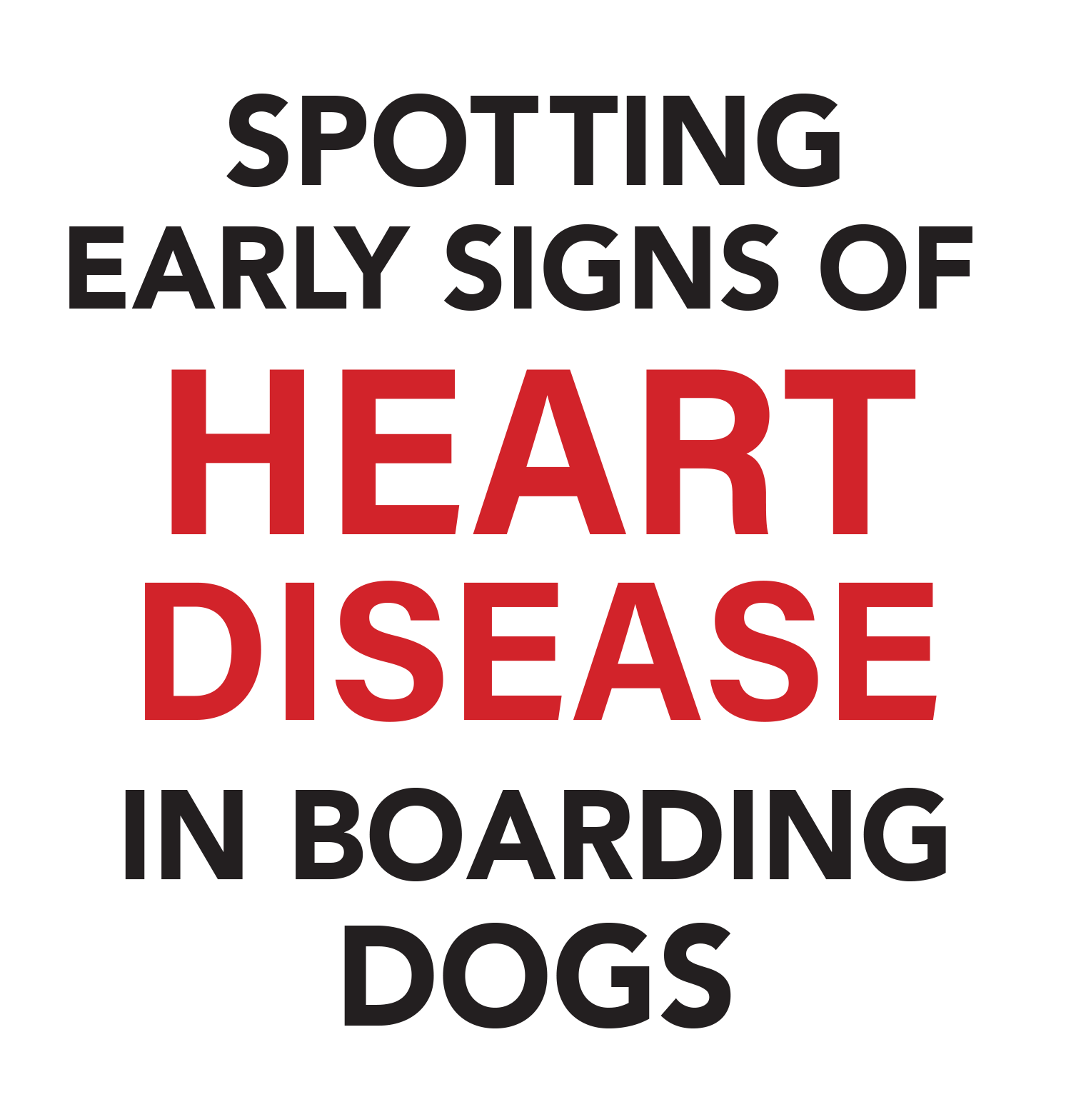Spotting Early Signs of Heart Disease in Boarding Dogs