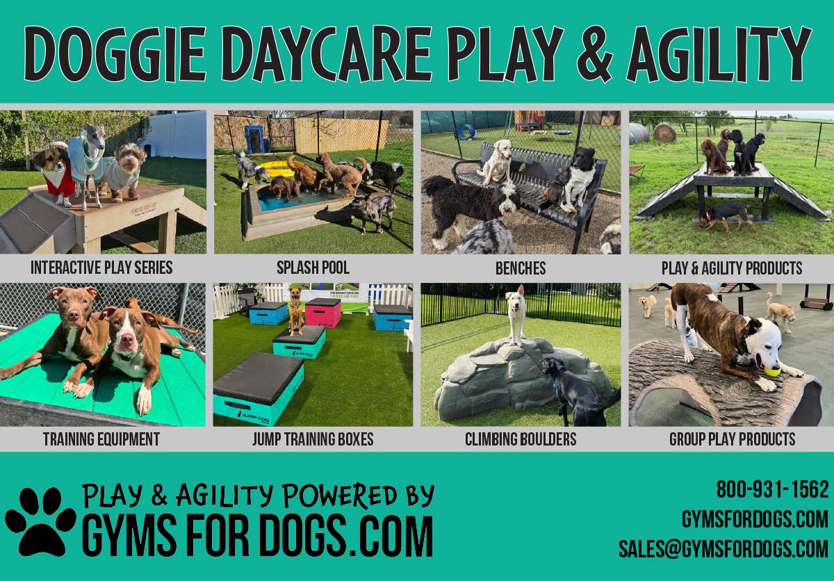 Gyms for Dogs Advertisement