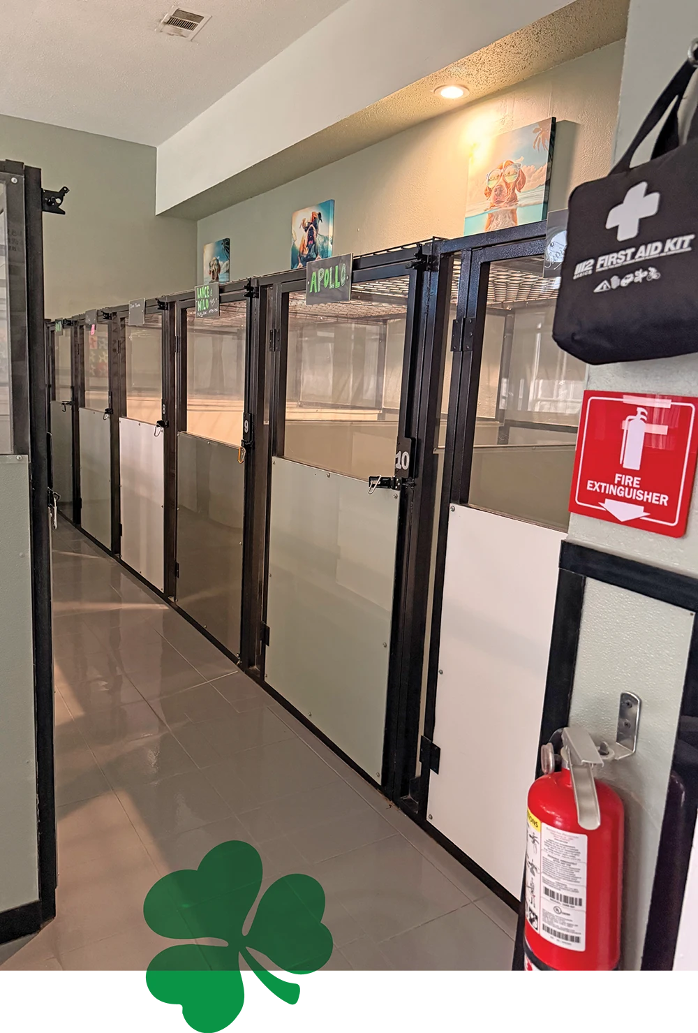 A hallway of clean indoor dog boarding suites with glass doors, dog portraits, and a fire extinguisher.
