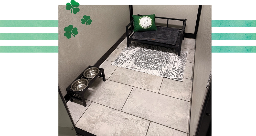 Inside a luxury dog suite with a raised bed, green pillow, patterned rug, and elevated water and food bowls.