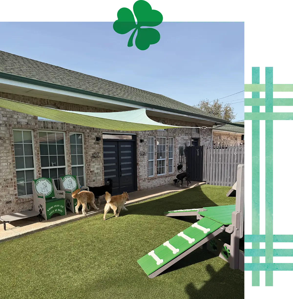 An outdoor dog play area with artificial turf, a green ramp, shade sails, and several dogs running.
