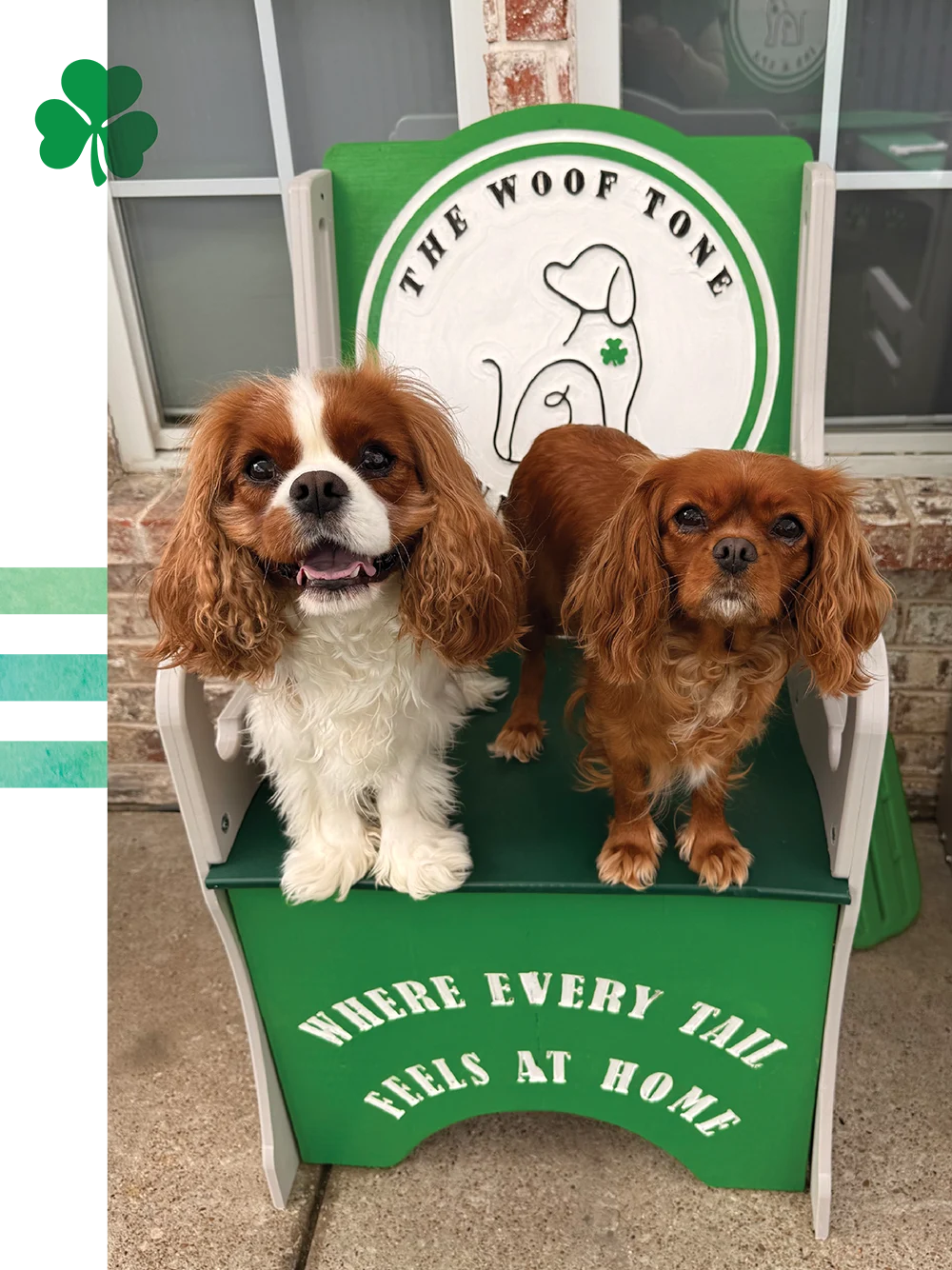 Two Cavalier King Charles Spaniels pose on a green and white chair that says "Where every tail feels at home."