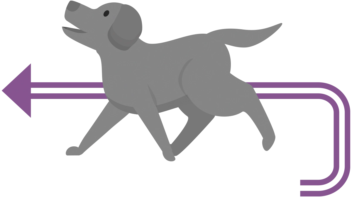 A flat illustration of a grey dog walking forward, overlaid with a purple arrow that curves around its rear and points to the left.