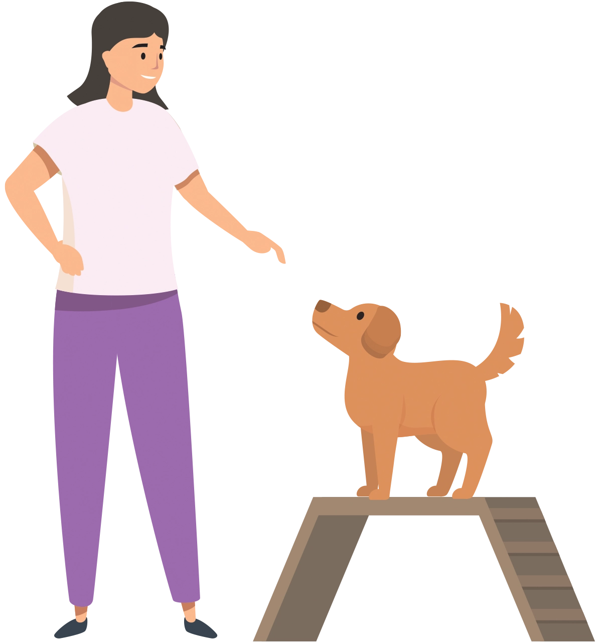 A flat illustration of a woman in purple pants pointing toward a small brown dog standing on top of a wooden training ramp.
