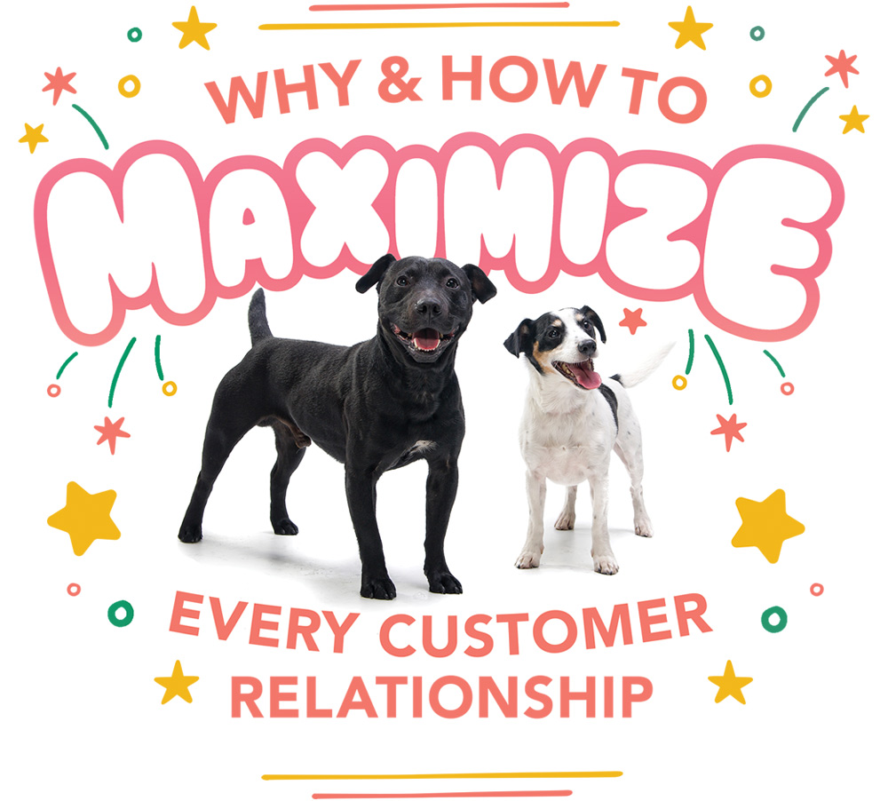 Why & How to Maximize Every Customer Relationship article imagery and typography