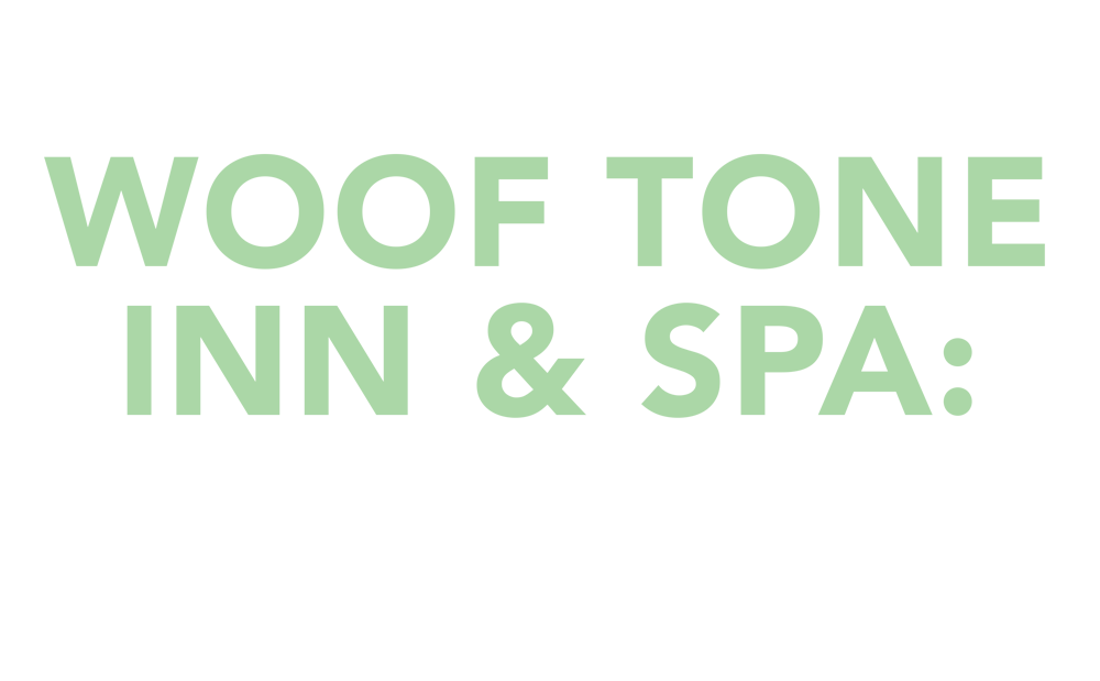 Profile of Success | Woof Tone Inn & Spa: Where it Feels More Like Home cover typography