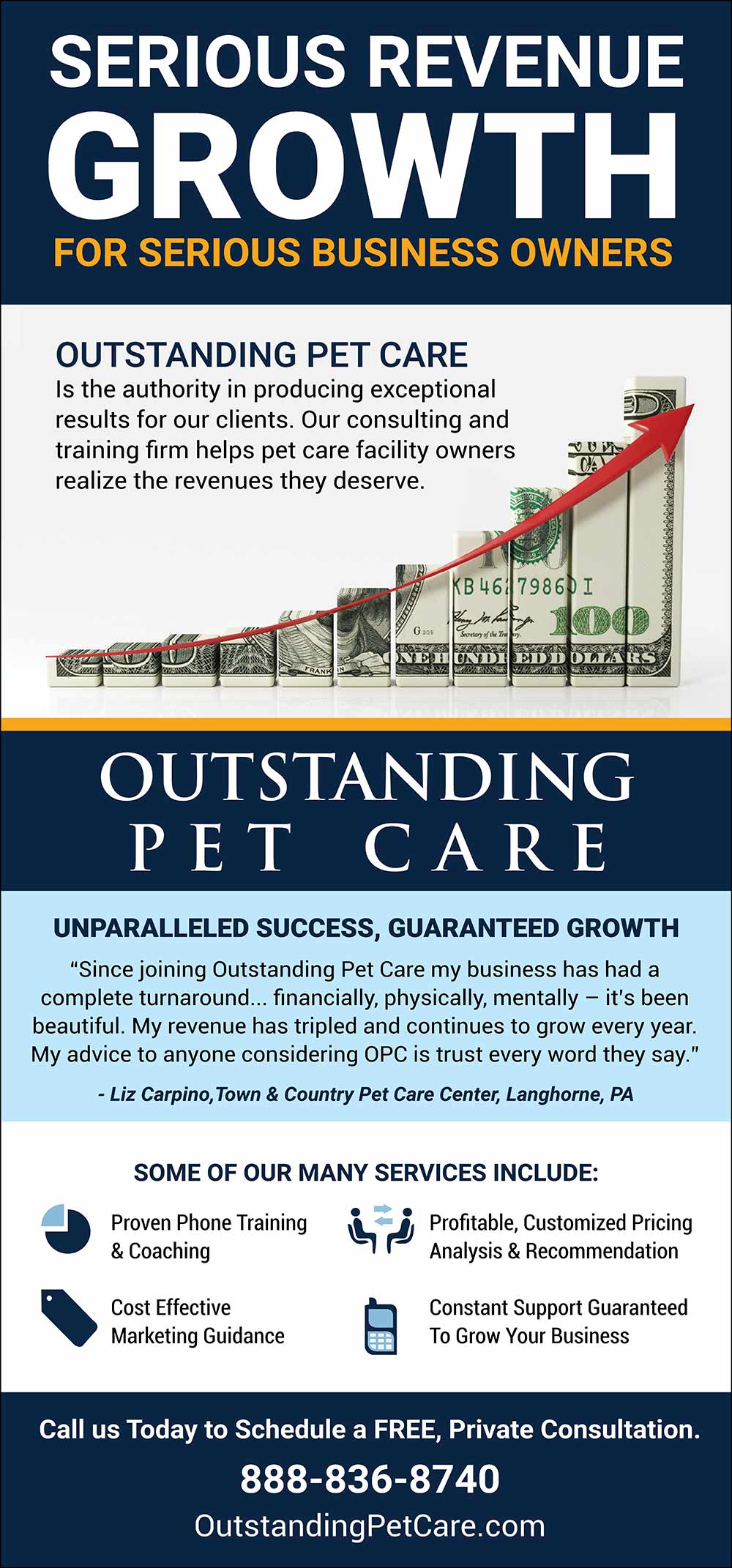 Outstanding Pet Care Advertisement