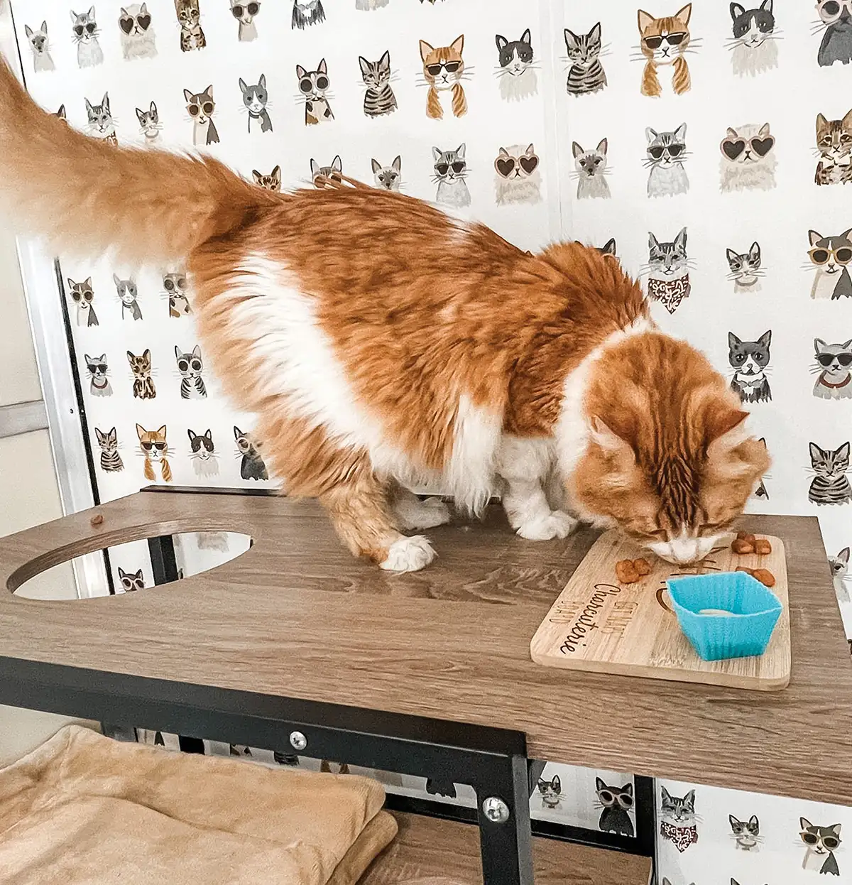 A fluffy orange and white cat eats treats from a small wooden charcuterie board on a cat tree shelf. The background features white wallpaper patterned with illustrated cats wearing sunglasses.