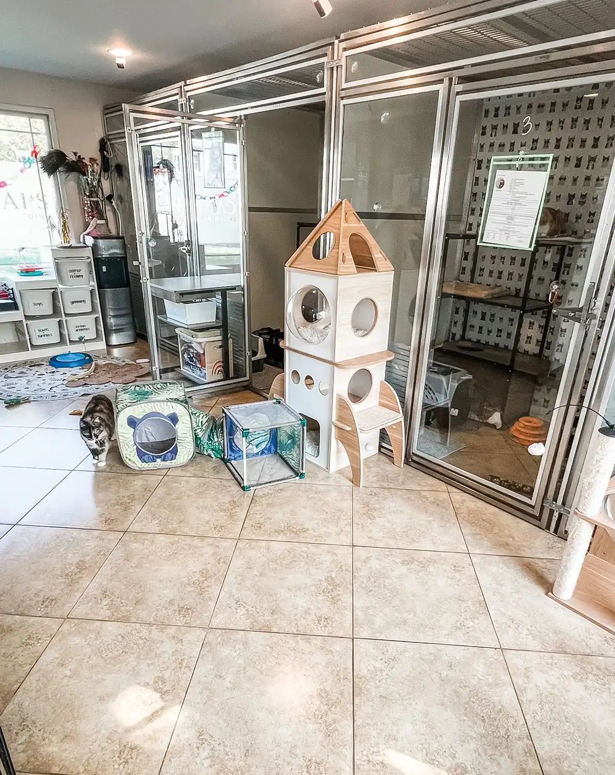 A bright cattery playroom featuring glass-doored enclosures, a wooden rocket-ship cat tower, and pop-up play tunnels on a tiled floor while a cat walks nearby.