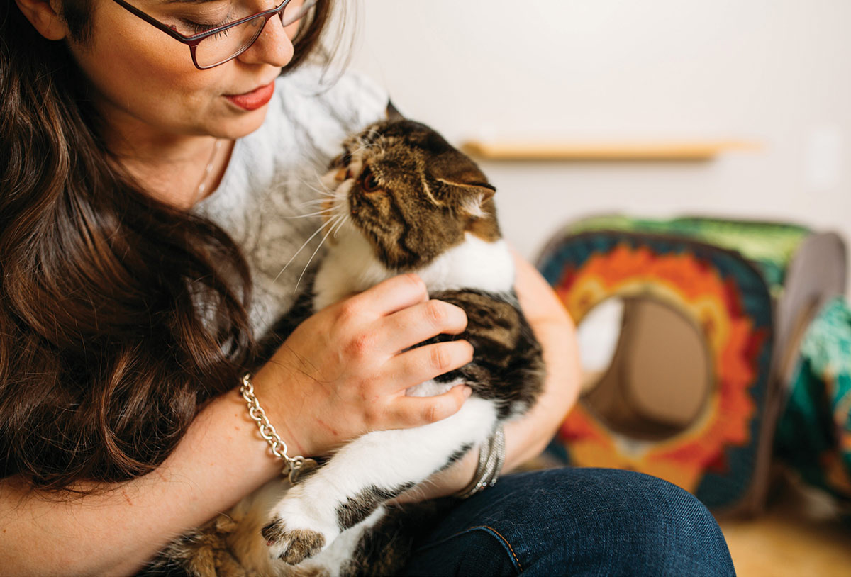 A woman with long brown hair and glasses gently cradles a flat-faced tabby and white cat in her arms. A colorful pet play tunnel is visible in the blurred background.