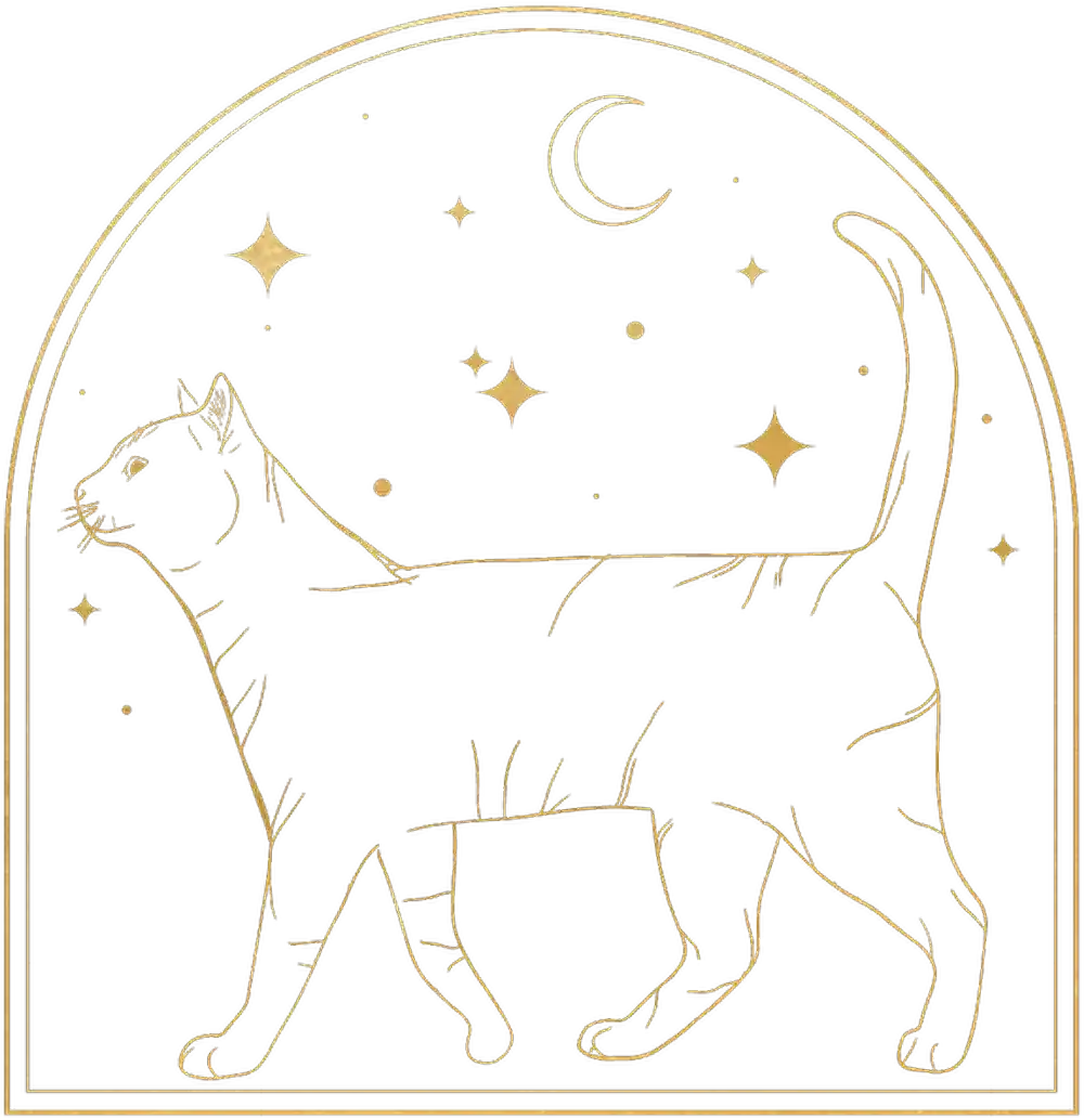 outline of a cat surrounded by stars