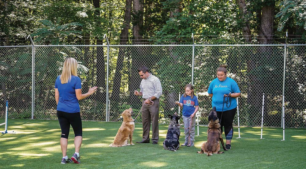 An outdoor training yard with artificial turf and a chain-link fence. Three handlers stand with three sitting dogs on leashes—a golden retriever, a merle dog, and a shepherd mix—facing a woman who is gesturing with her hand.