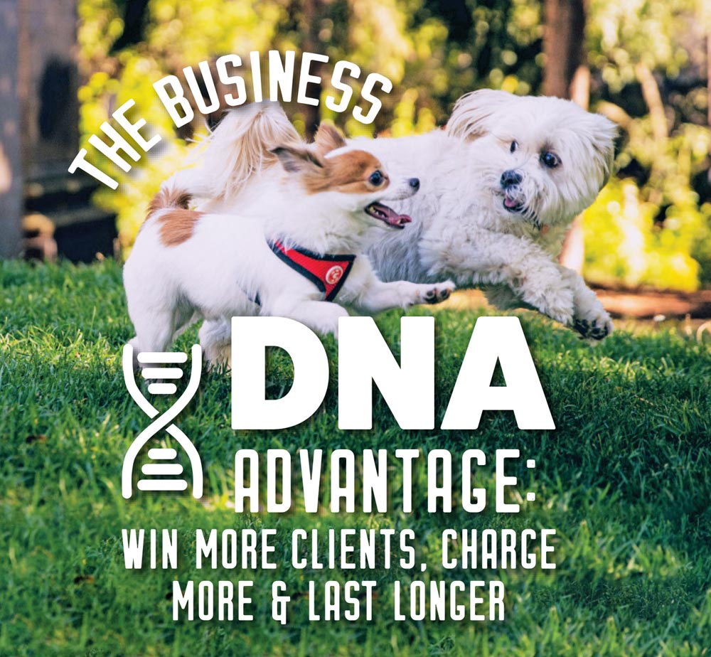 The Business DNA Advantage: Win More Clients, Charge More & Last Longer article imagery and typography