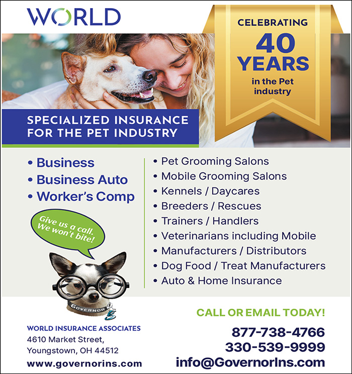 Governor Insurance Agency Advertisement