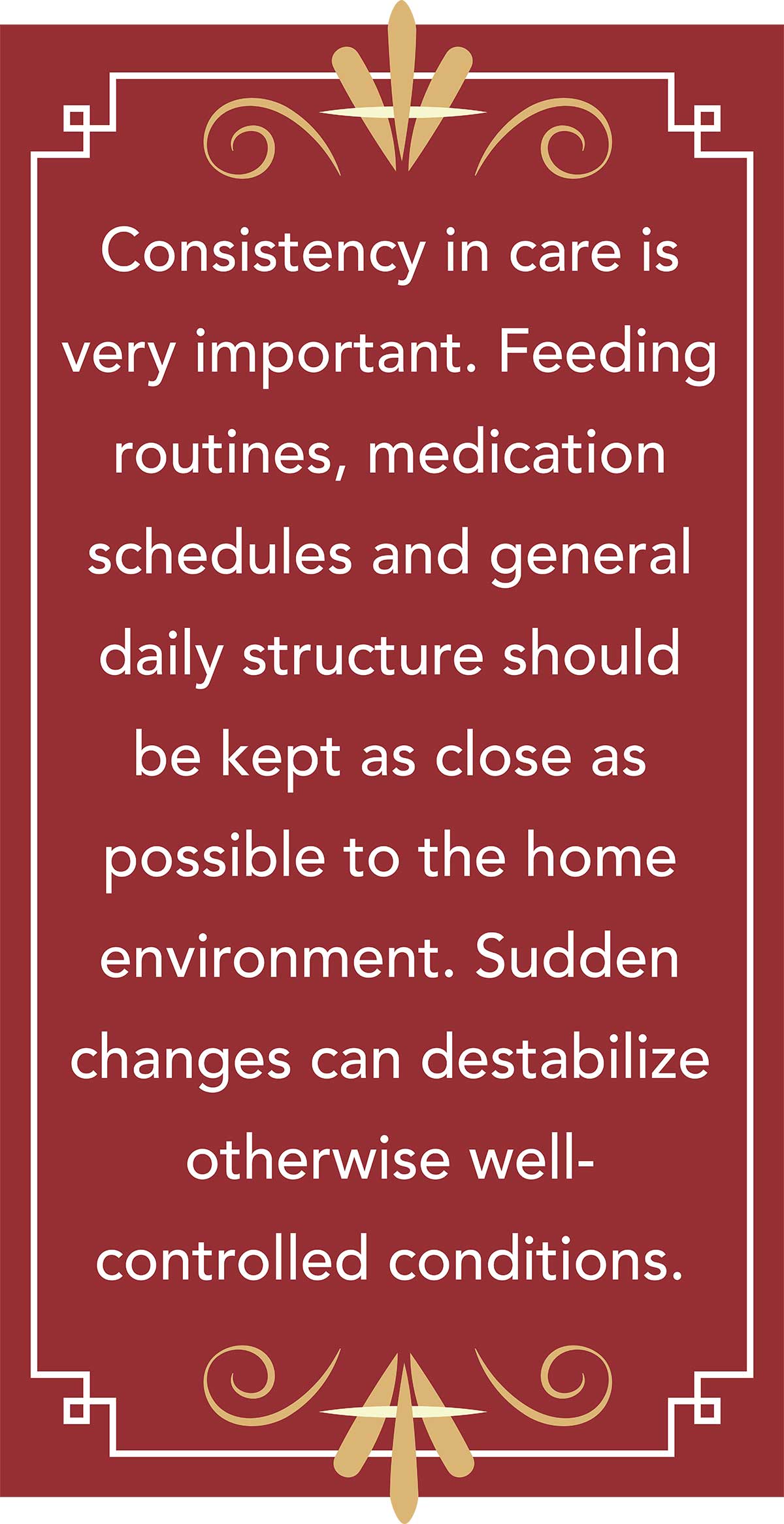 Vertical red graphic with gold detailing containing text about the importance of consistency in a pet's care routine.