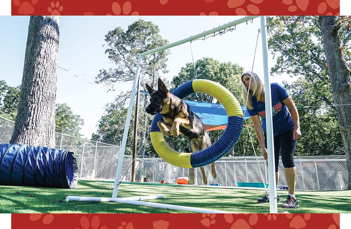 A German Shepherd jumps through an agility tire hoop guided by a trainer outdoors.