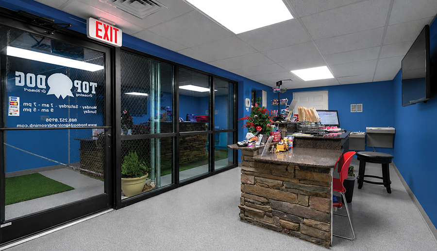 Empty indoor reception lobby area of Top Dog Grooming with blue walls and stone counter.