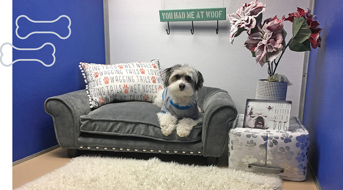 A small fluffy dog relaxing on a miniature grey sofa bed in a themed room.