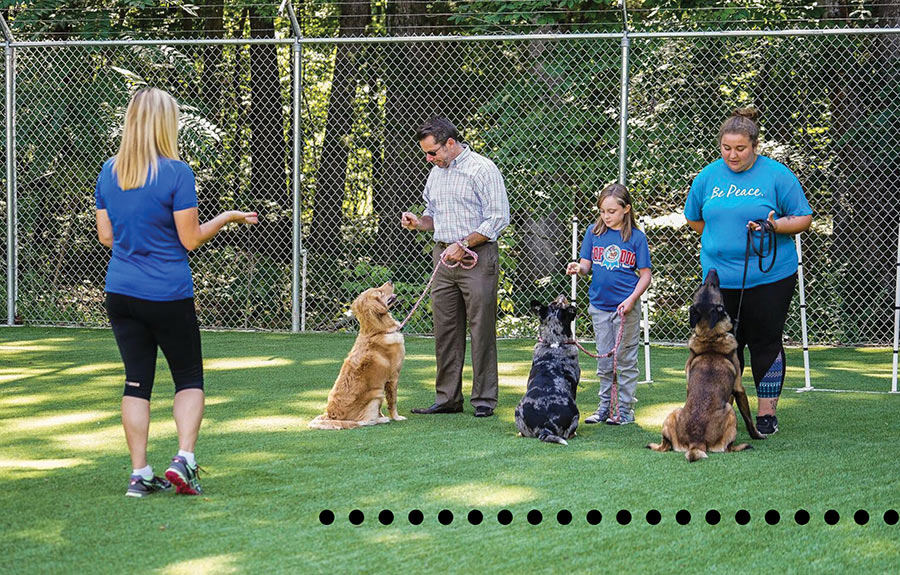 A group dog training class outdoors on turf with handlers teaching their dogs to sit.