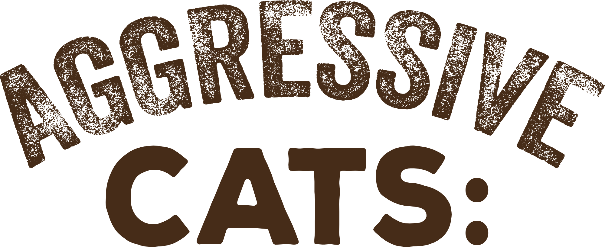 AGGRESSIVE CATS: