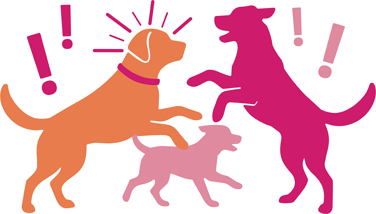 An illustration of three excited dogs playing together surrounded by exclamation marks.