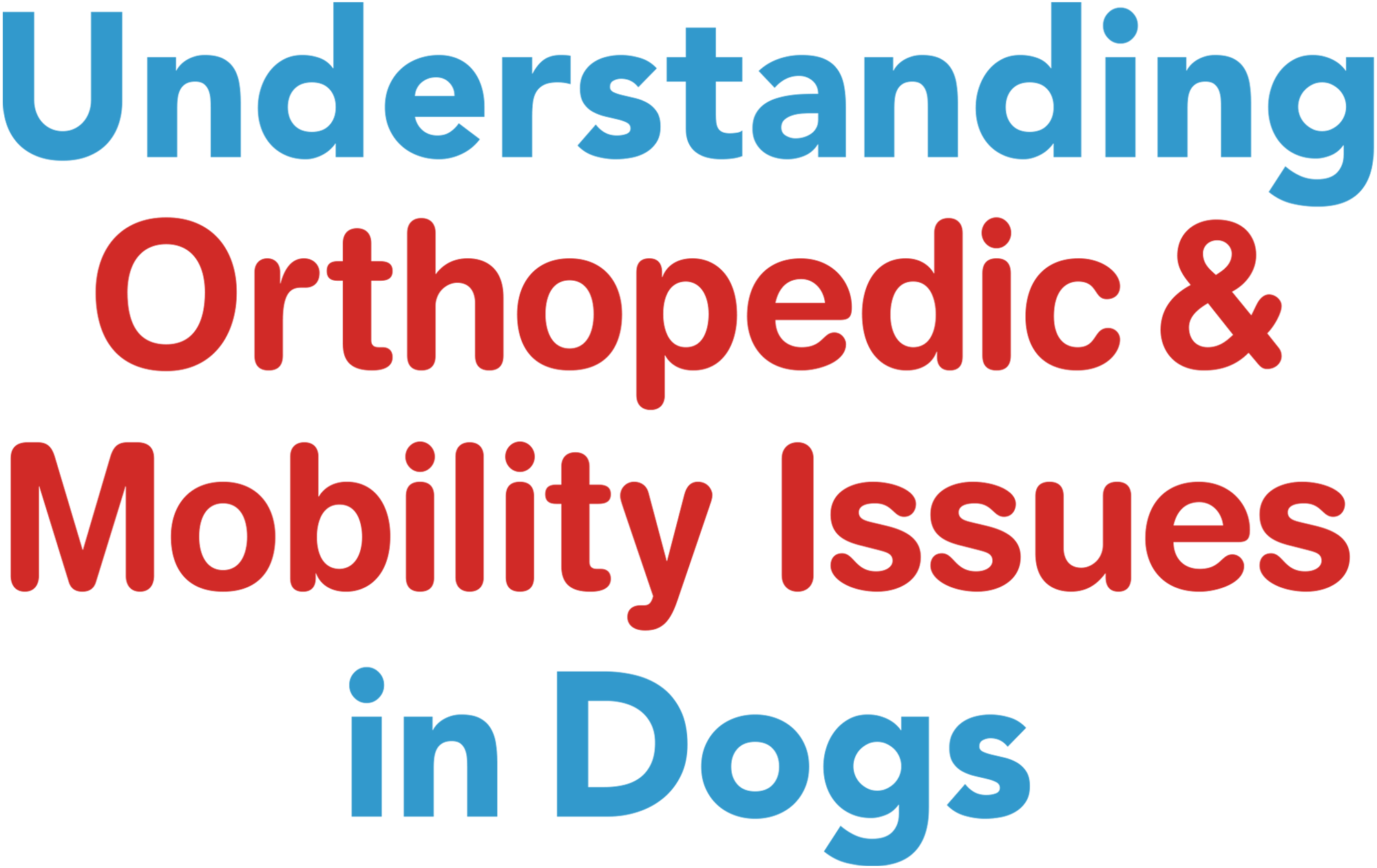 Understanding Orthopedic & Mobility Issues