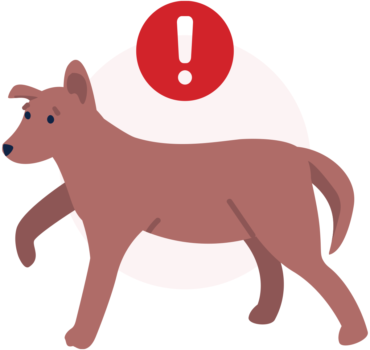 Illustration of a brown dog walking with a raised front paw and a red exclamation mark icon above its back.