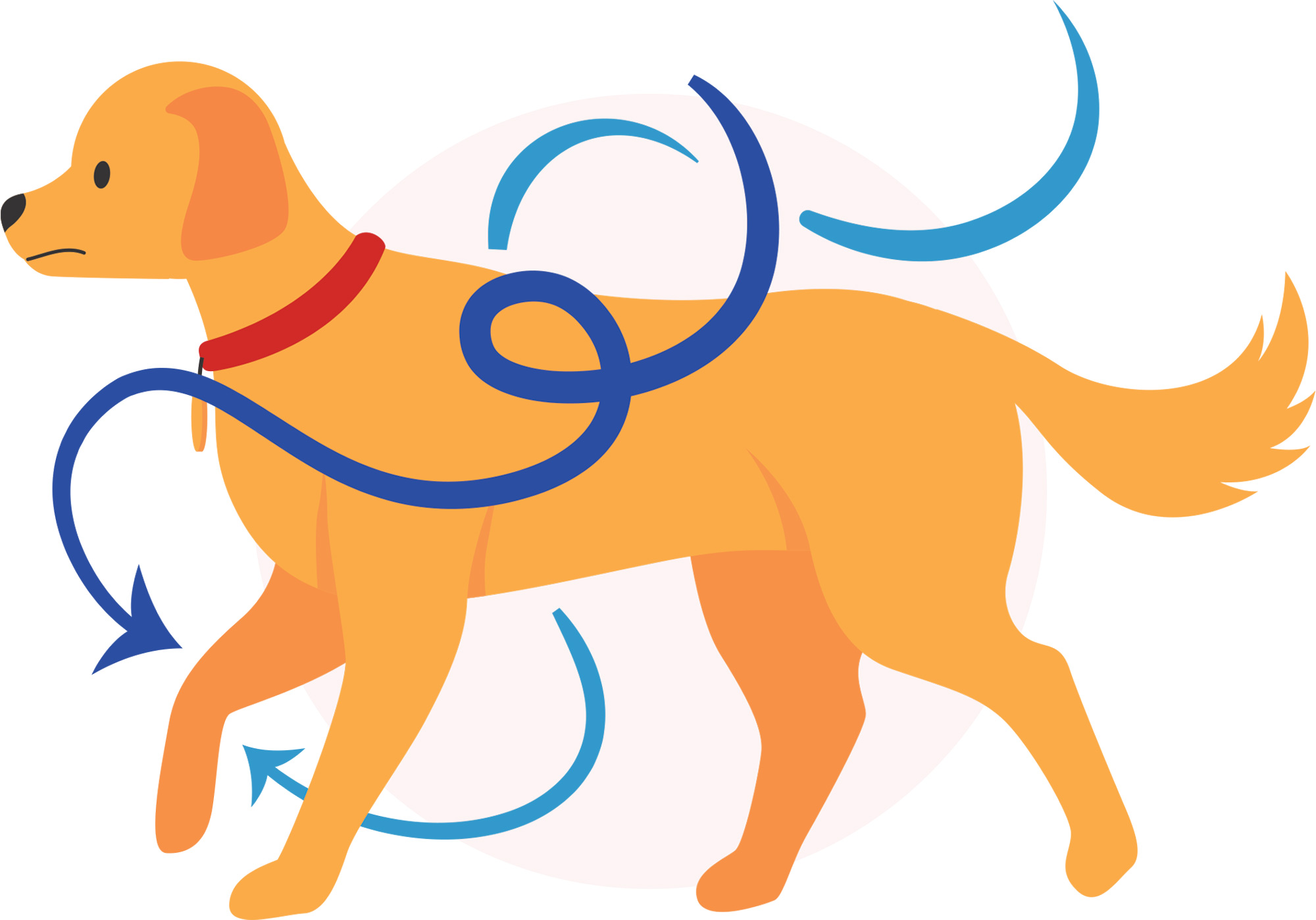 Illustration of a yellow dog walking with curved blue arrows indicating limb motion and gait tracking.