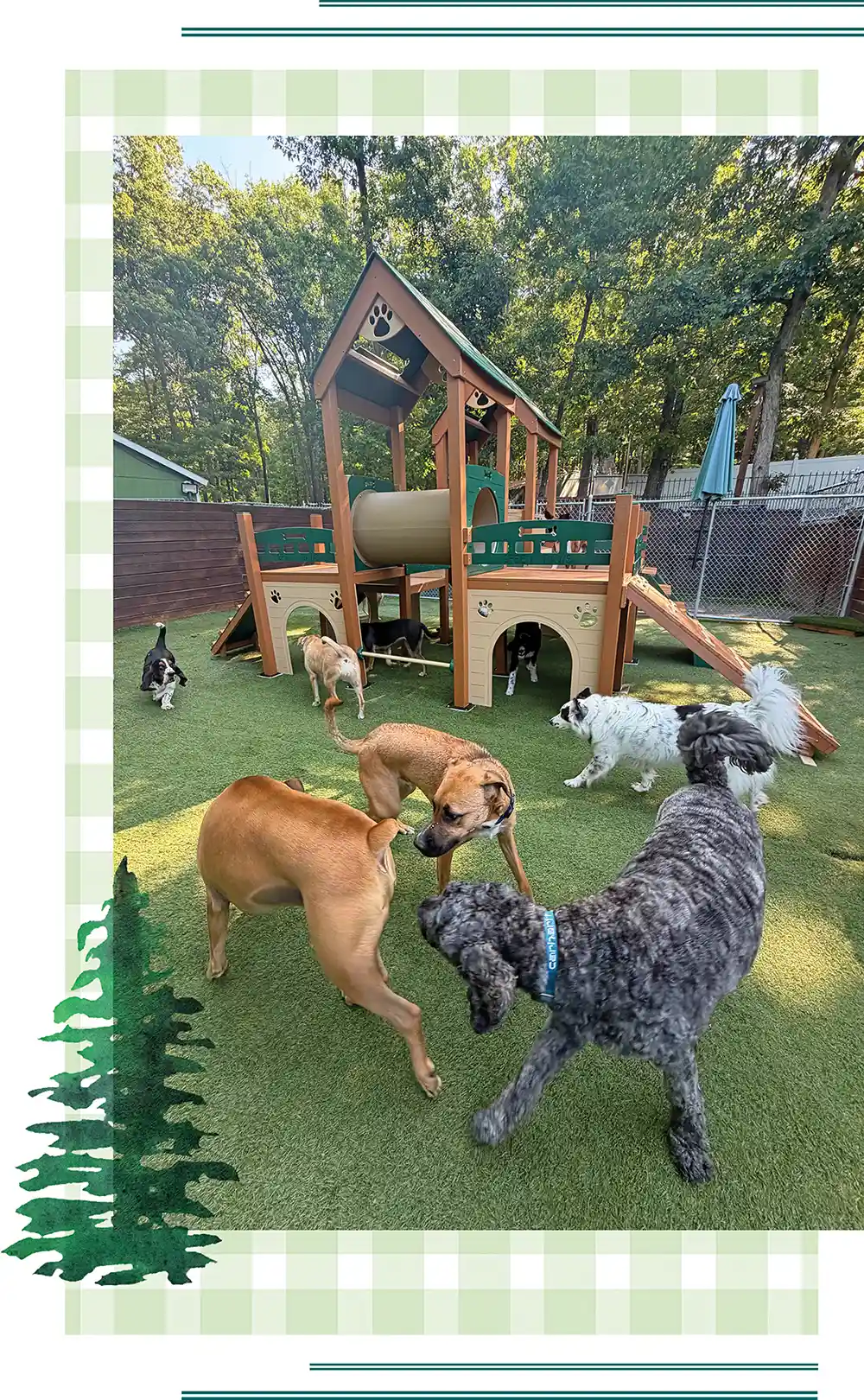 Several dogs running and playing around a large wooden play structure with tunnels and ramps in a fenced artificial turf play yard.