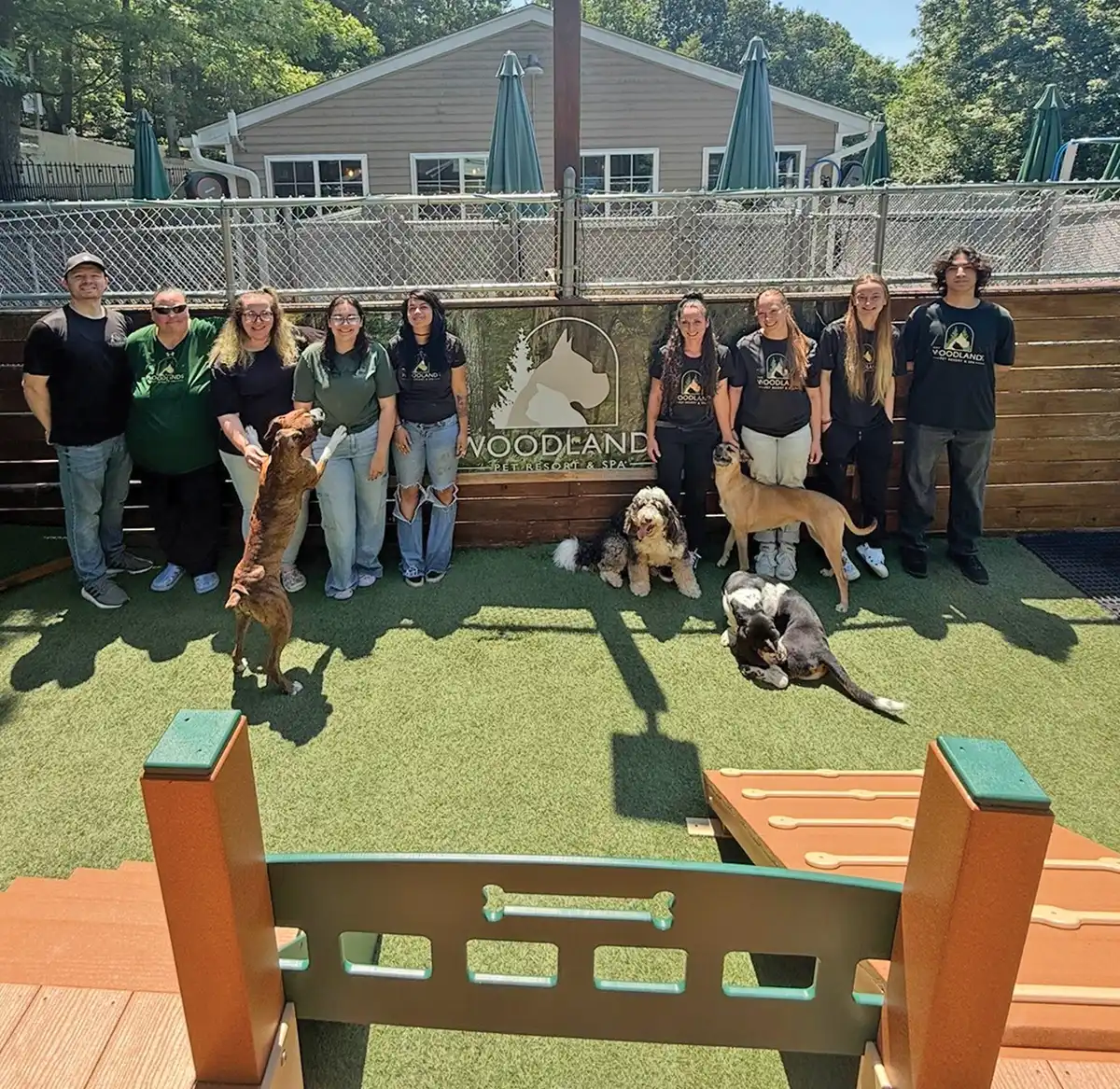 A group of staff members standing outdoors with dogs in an artificial turf play yard in front of a Woodlands Pet Resort & Spa sign.