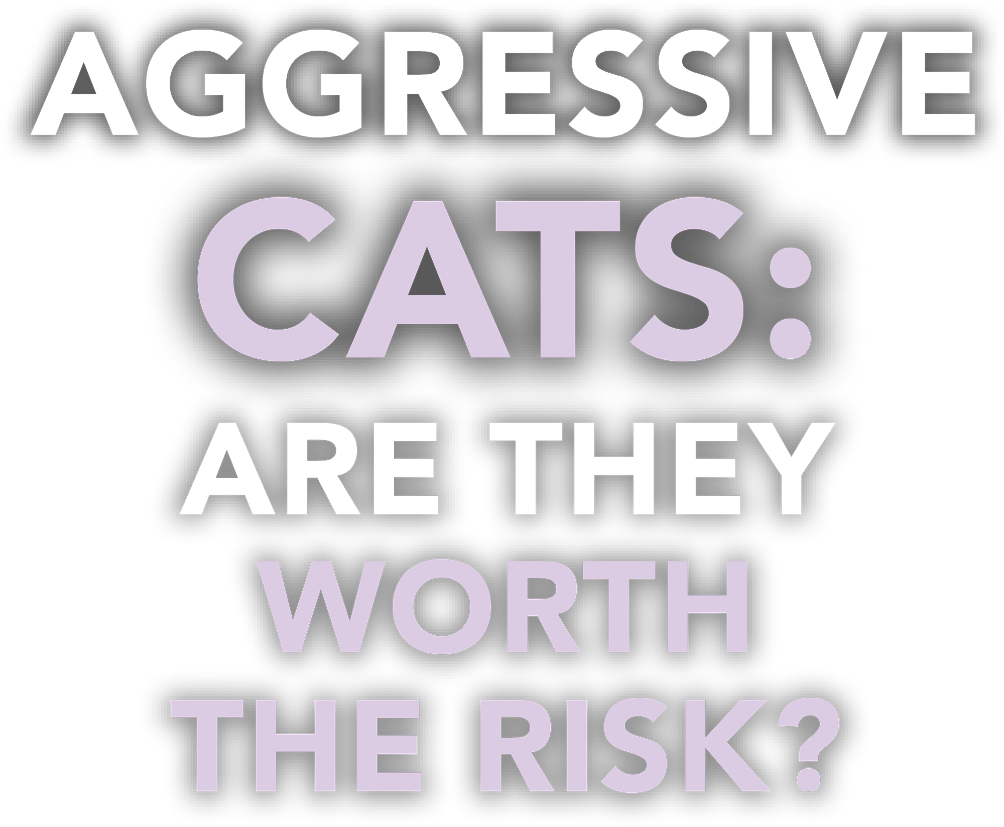 AGGRESSIVE CATS: ARE THEY WORTH THE RISK?
